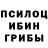Галлюциногенные грибы Psilocybine cubensis Camy
