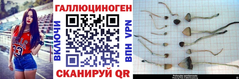 Галлюциногенные грибы мицелий Котельнич